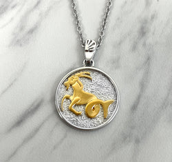 Capricorn Zodiac Necklace for Women - 14K Gold Vermeil, Two Tone