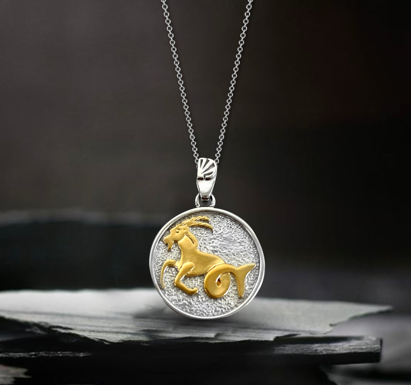 Capricorn Zodiac Necklace for Women - 14K Gold Vermeil, Two Tone